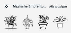 Magische Empfehlungen von Canva