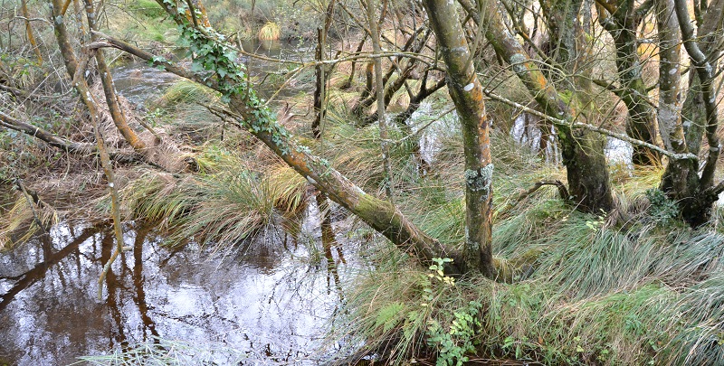 Wicklow Mountains