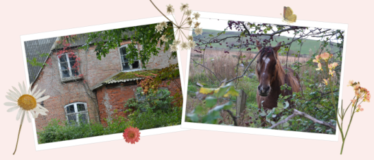 Fotos auf Hintergrund mit Blumen-Illustrationen